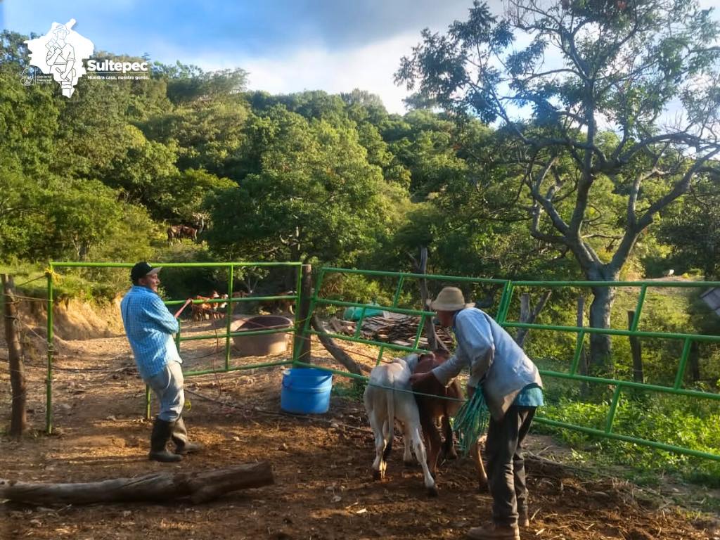 1698327268 208 En colaboracion con el area de Desarrollo Agropecuario Ecologia y