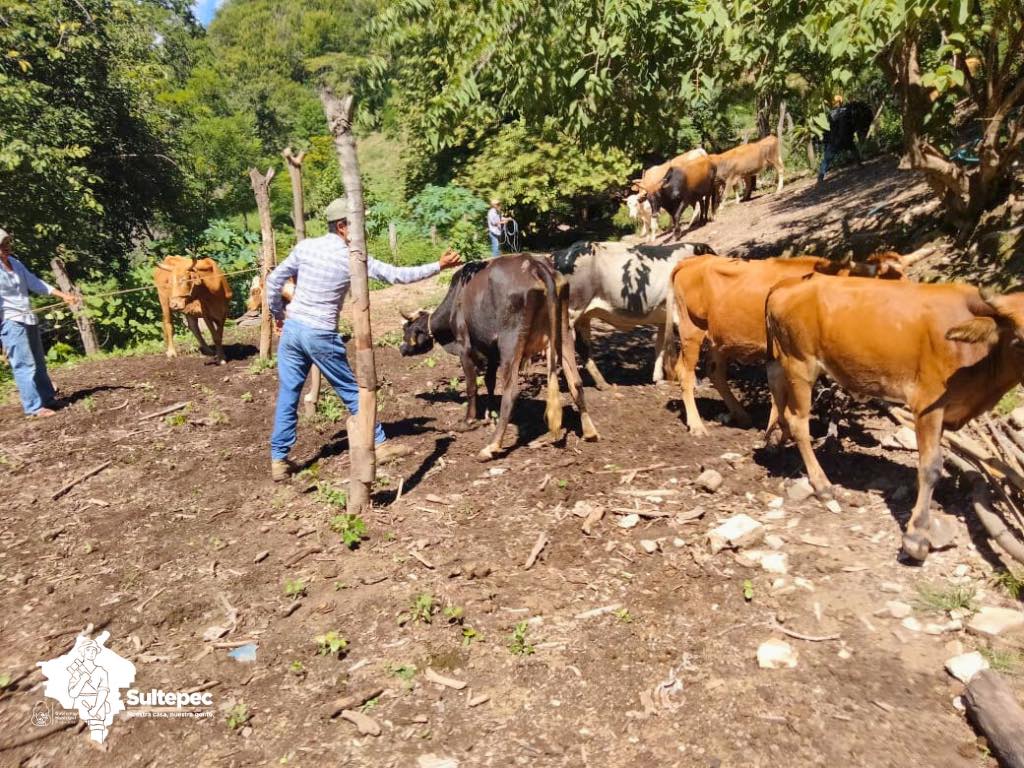 1698327275 921 En colaboracion con el area de Desarrollo Agropecuario Ecologia y