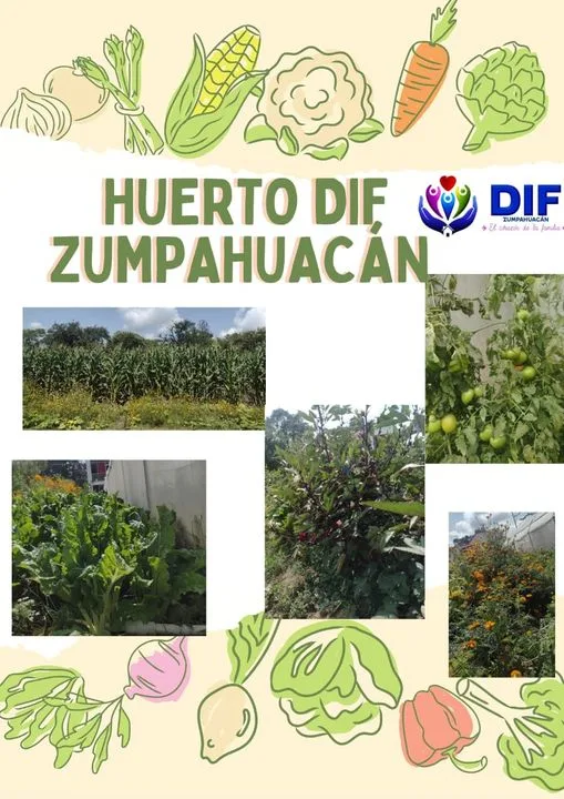 1698338340 El Sistema Municipal DIF de Zumpahuacan te invita a adquirir jpg