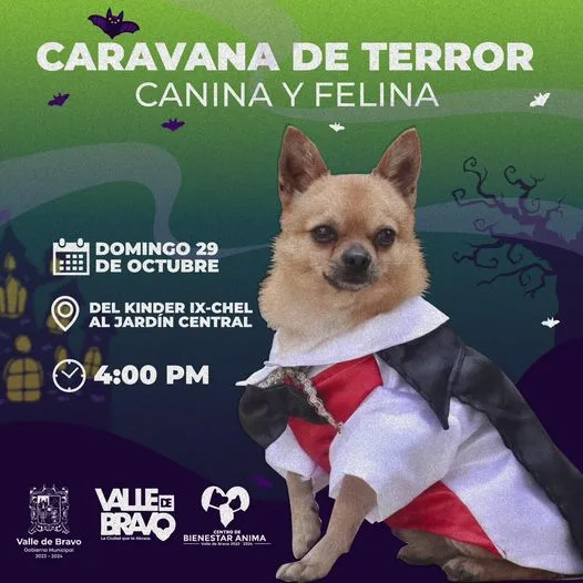 1698349713 Les recordamos la Caravana del Terror Canina y Felina La jpg