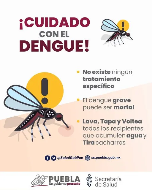 1698352279 Evitemos la proliferacion de mosquitos prevenciondengue jpg