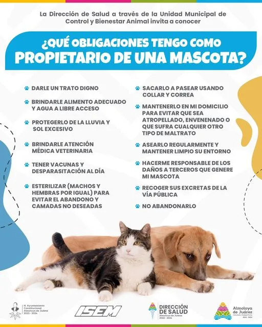 1698352677 Nuestras mascotas son nuestra responsabilidad jpg