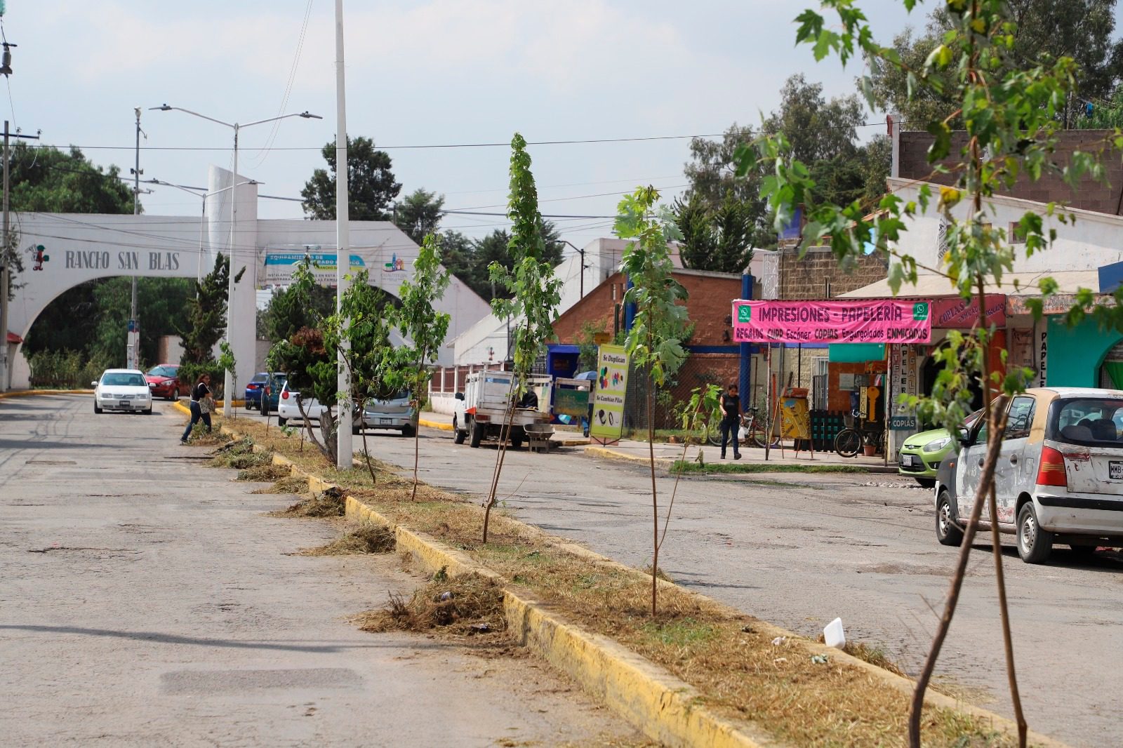 1698355417 539 Continuamos con nuestra jornada de Reforestacion de espacios publicos en