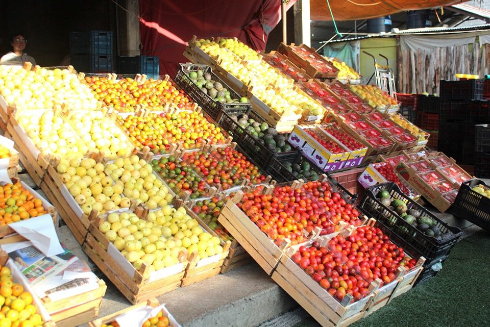 1698411370 906 ¡Celebremos el Dia de Muertos con frutas frescas de temporada