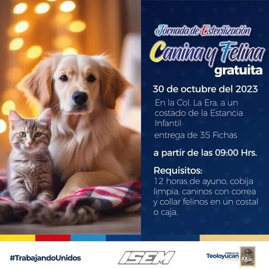 1698425325 Esterilizacion Canina y Felina jpg