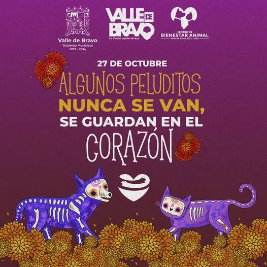 1698443476 Hoy 27 de octubre es cuando nuestras mascotas nos visitan jpg