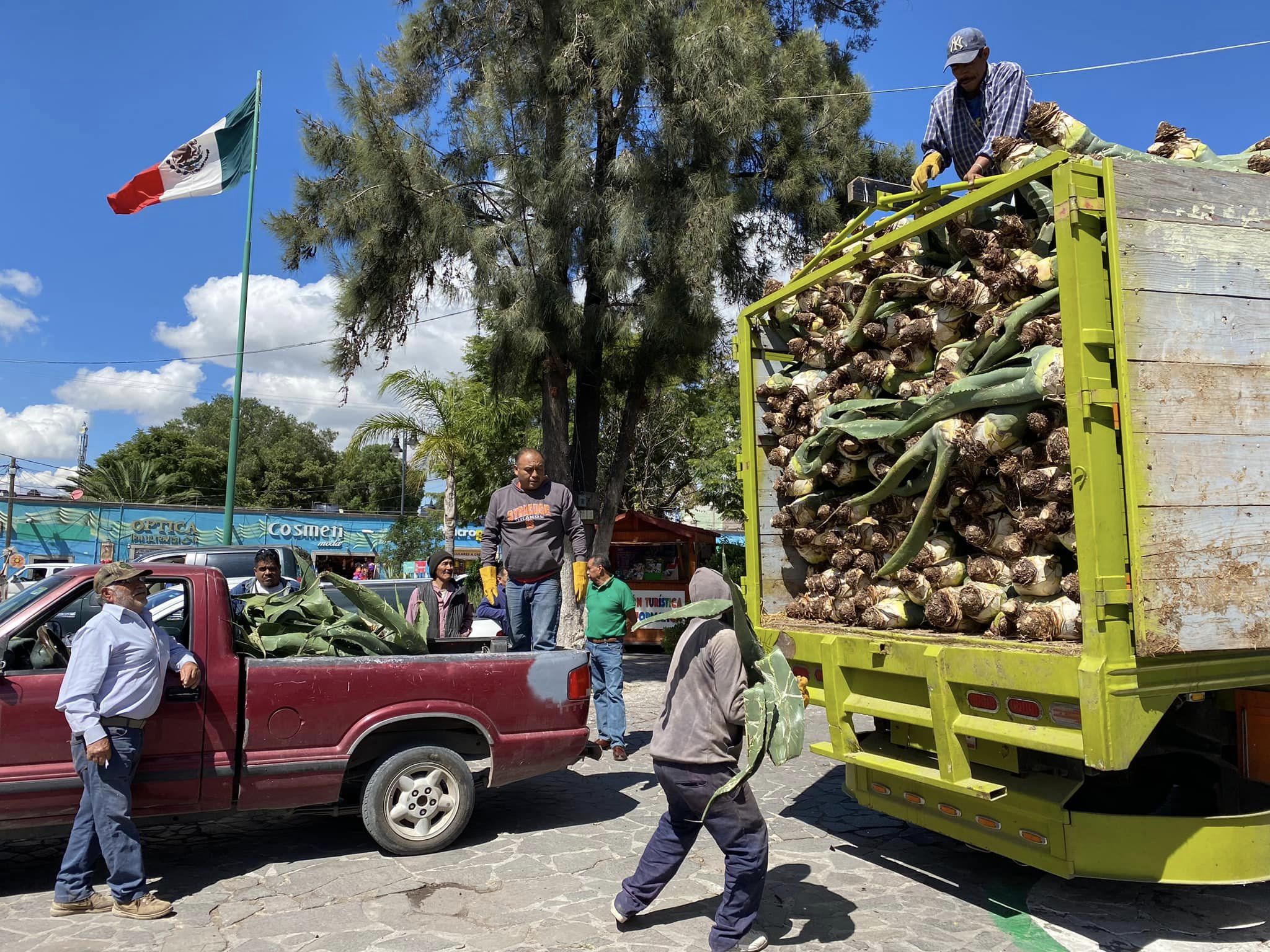 1698497209 69 La Direccion de Fomento Agropecuario en coordinacion con el Lic