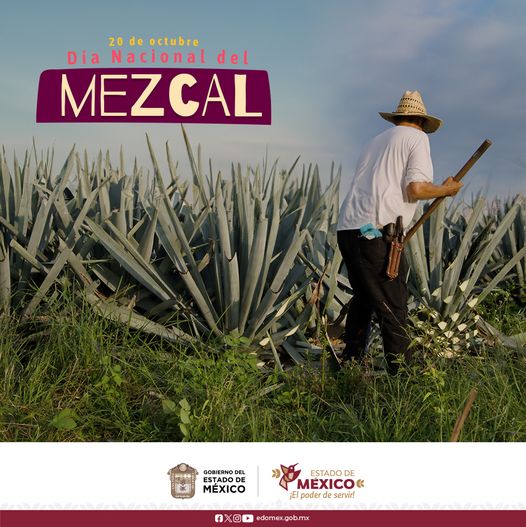 DiaNacionalDelMezcal ¿Sabias que En el sur del Estado de