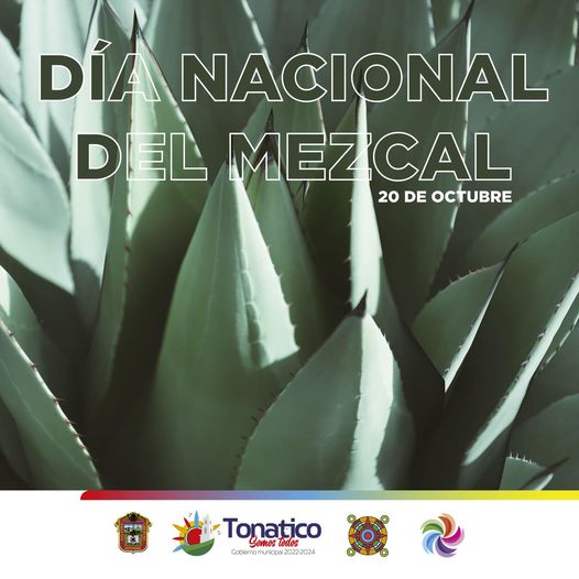 En Tonatico hay grandes productores de mezcal ¿cual es tu