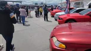 EnVivo Exhibicion de autos Mustang y show de