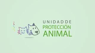 Estamos muy cerca de conocer la Unidad de ProteccionAnimal en