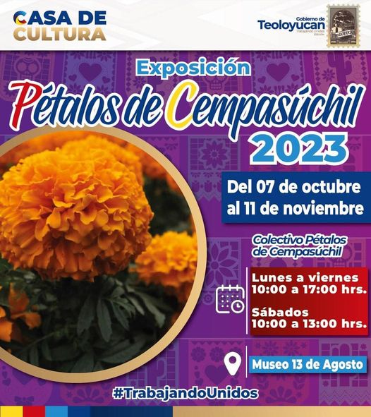 Exposicion Petalos de Cempasuchil ¡Ven a conocer la exposicion con