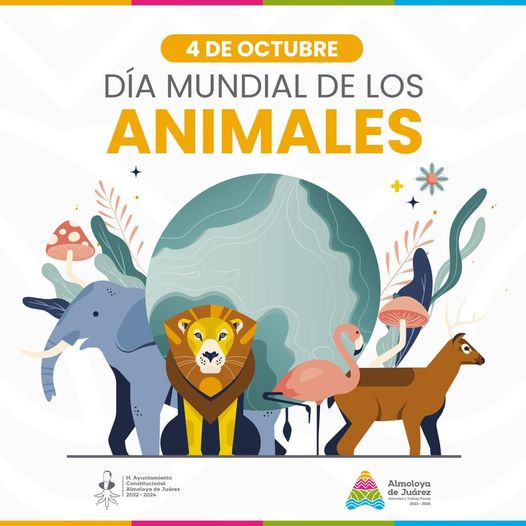 Hoy conmemoramos el Dia Mundial de los Animales un dia