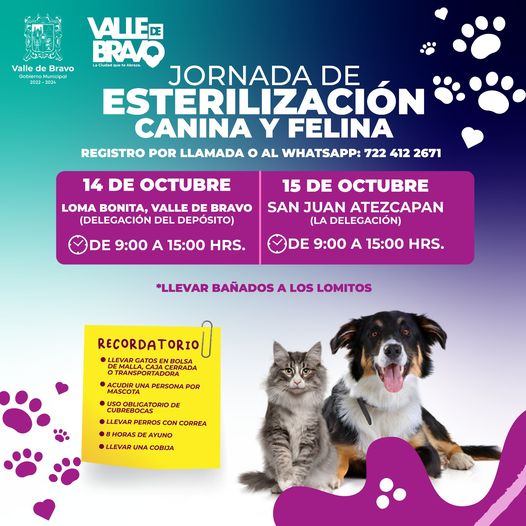 ¡Asiste a nuestras Jornadas Gratuitas de Esterilizacion Canina y Felina