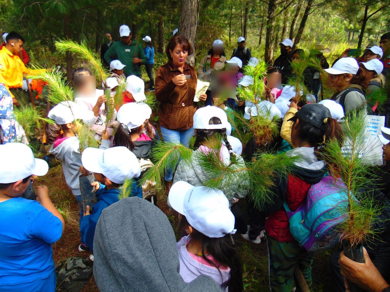 ¡CUIDEMOS A NUESTRA MADRE NATURALEZA CUIDEMOS A LOS ARBOLES QUE