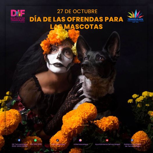 ¡Celebremos el dia de las Ofrenda para las Mascotas En