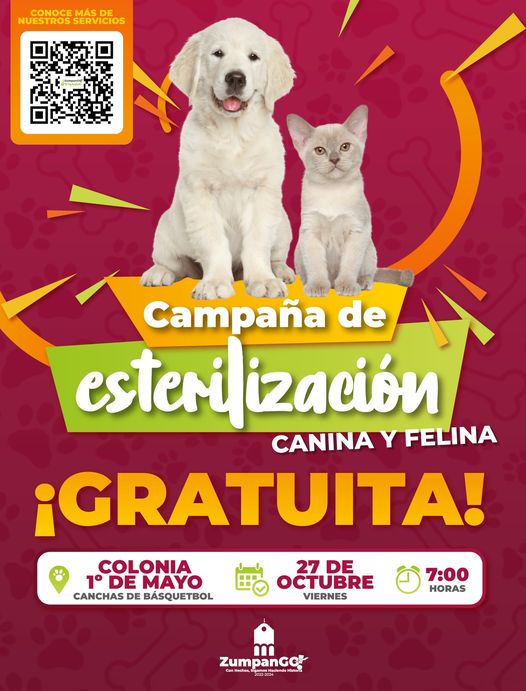 ¡Manana es un dia para cuidar a nuestros amigos peludos