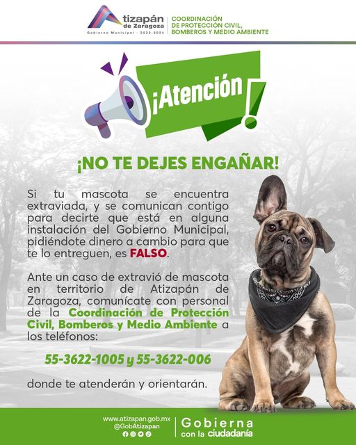 ¡No te dejes enganar Si tu mascota se extravia no