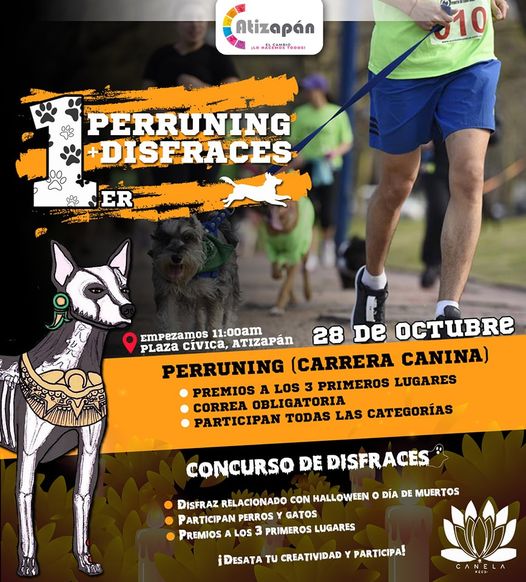 ¡Unete al primer Perruning y concurso de disfraces ¡Diviertete con