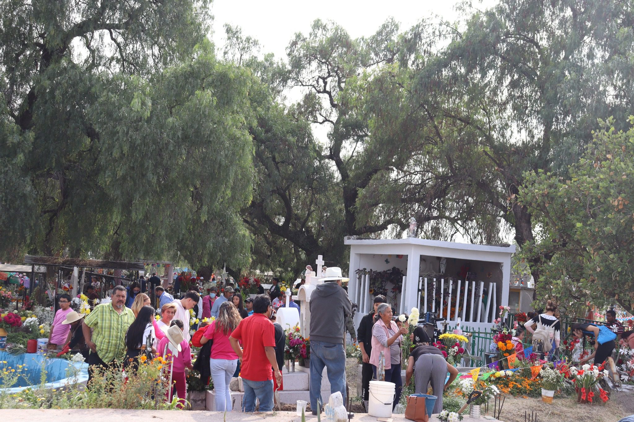 1699016708 461 Celebremos el Dia de Muertos en Teoloyucan Un Homenaje a