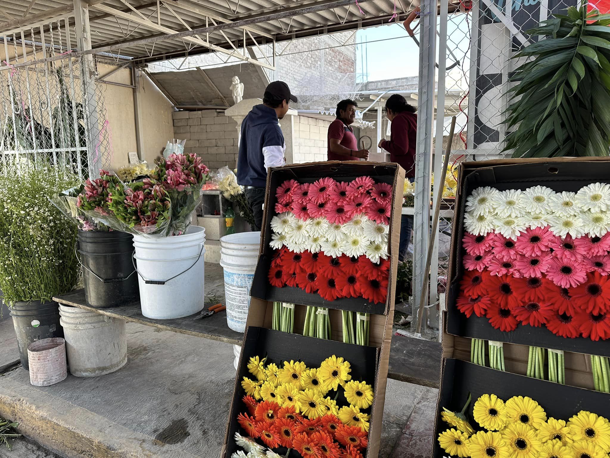 1699020126 518 La tradicion de colocar un altar para nuestros muertos este