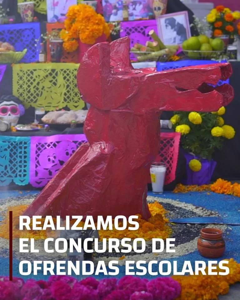 1699024725 Hicimos el Concurso de Ofrendas Escolares y les quedaron geniales jpg