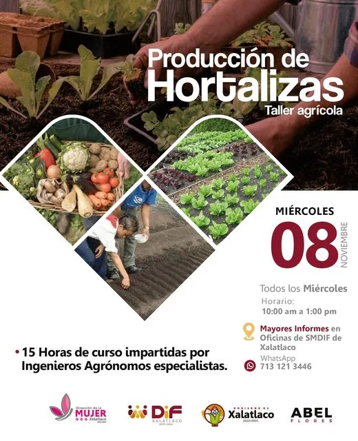 1699027755 Proximo miercoles 8 de noviembre inicia el Taller agricola jpg