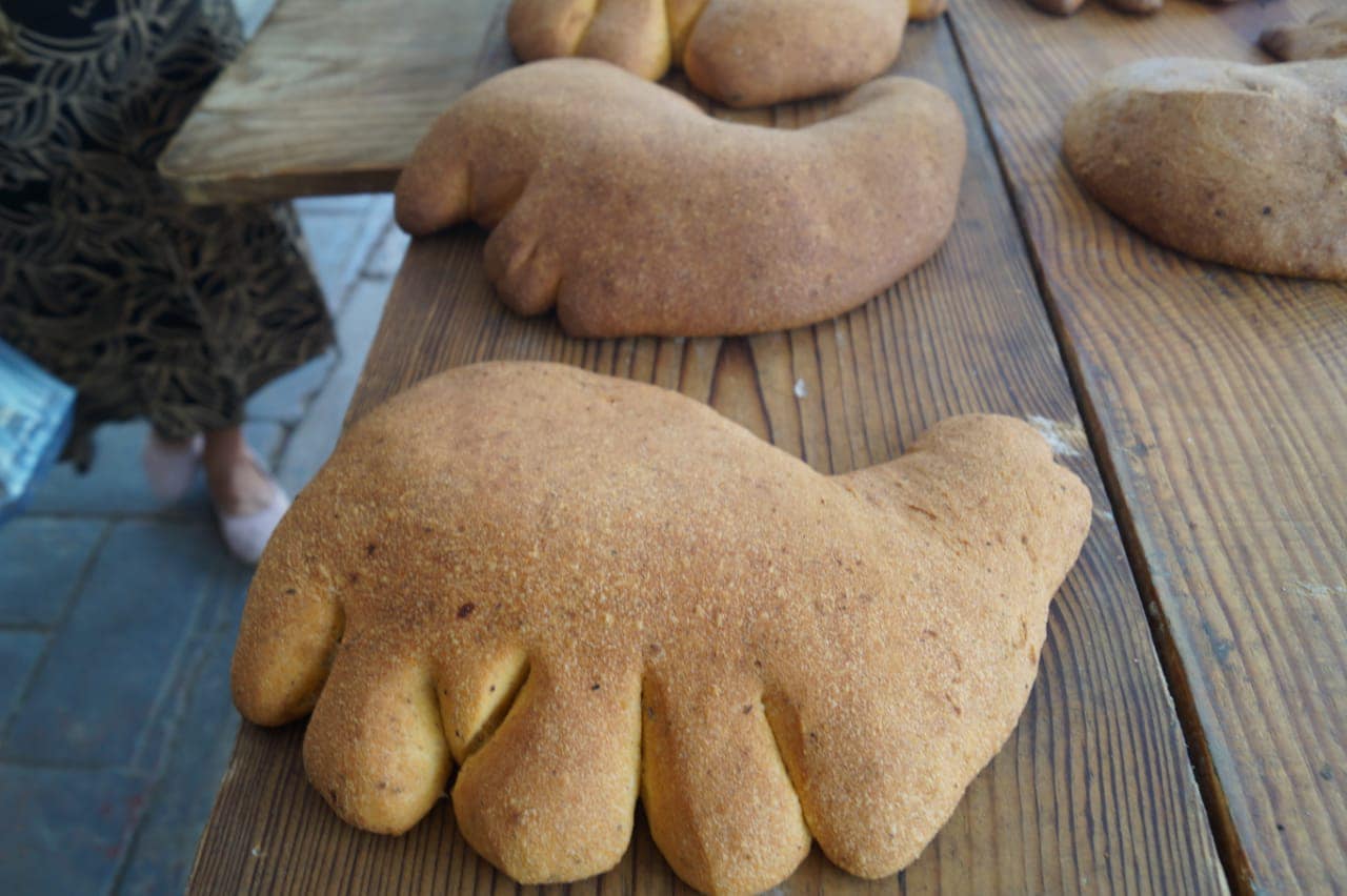 1699028678 201 Vengan y disfruten del Pan de Tejupilco