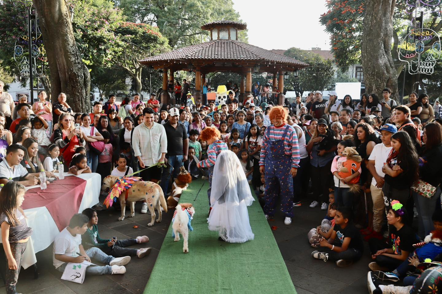 1699042493 227 Asi vivimos nuestra Caravana del Terror Canina y Felina 2023