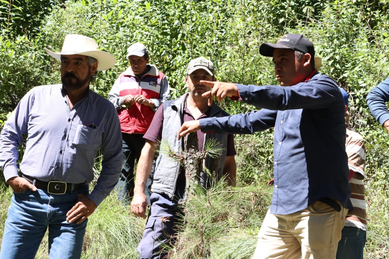 1699047729 687 ArranquedeObra En La Palma llevamos a cabo el arranque de