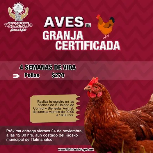 1699050040 Te invitamos a adquirir tus Aves de Granja Certificada Para jpg