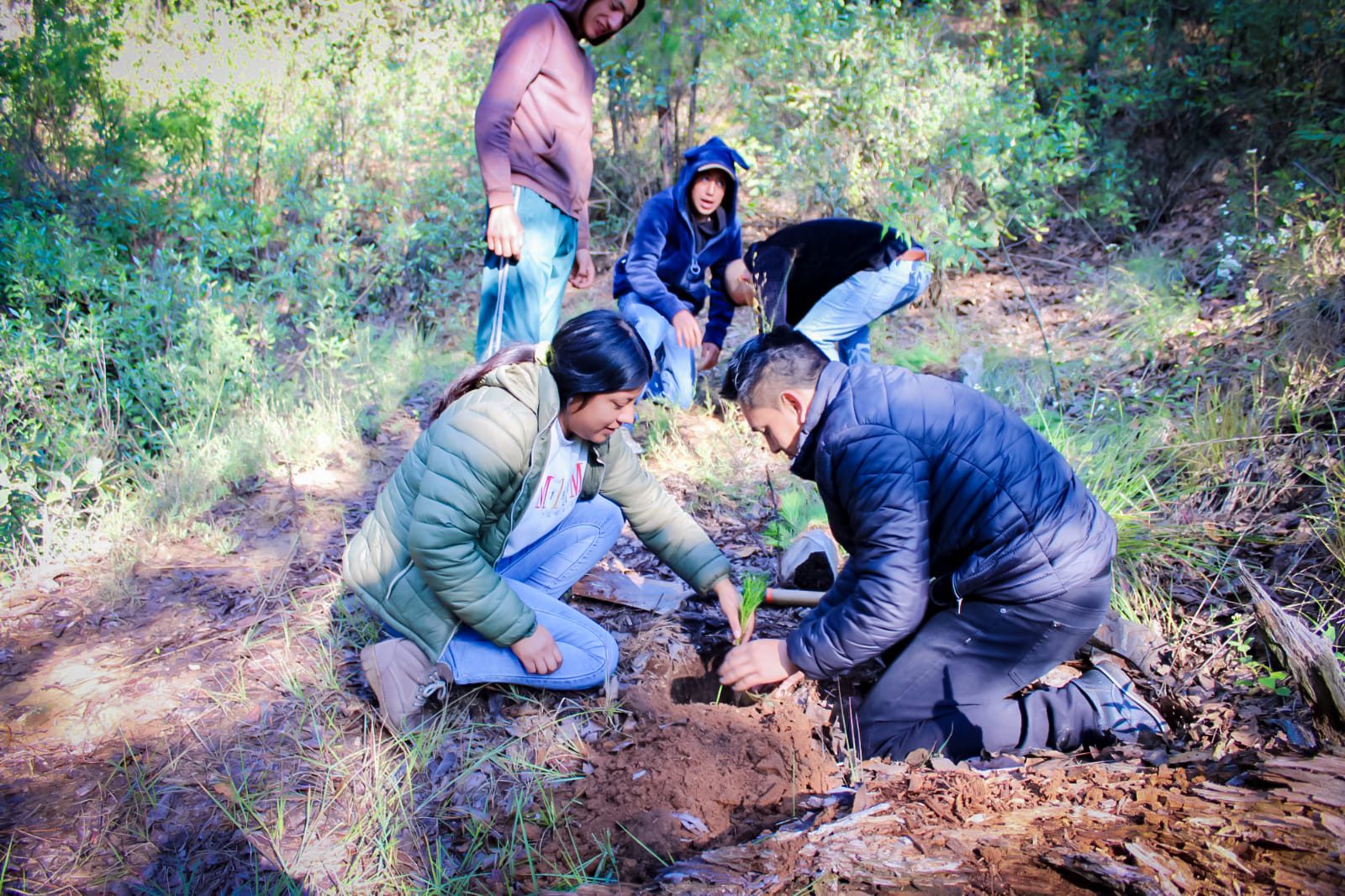 1699052744 808 Hoy por parte de la Direccion de Ecologia y Medio