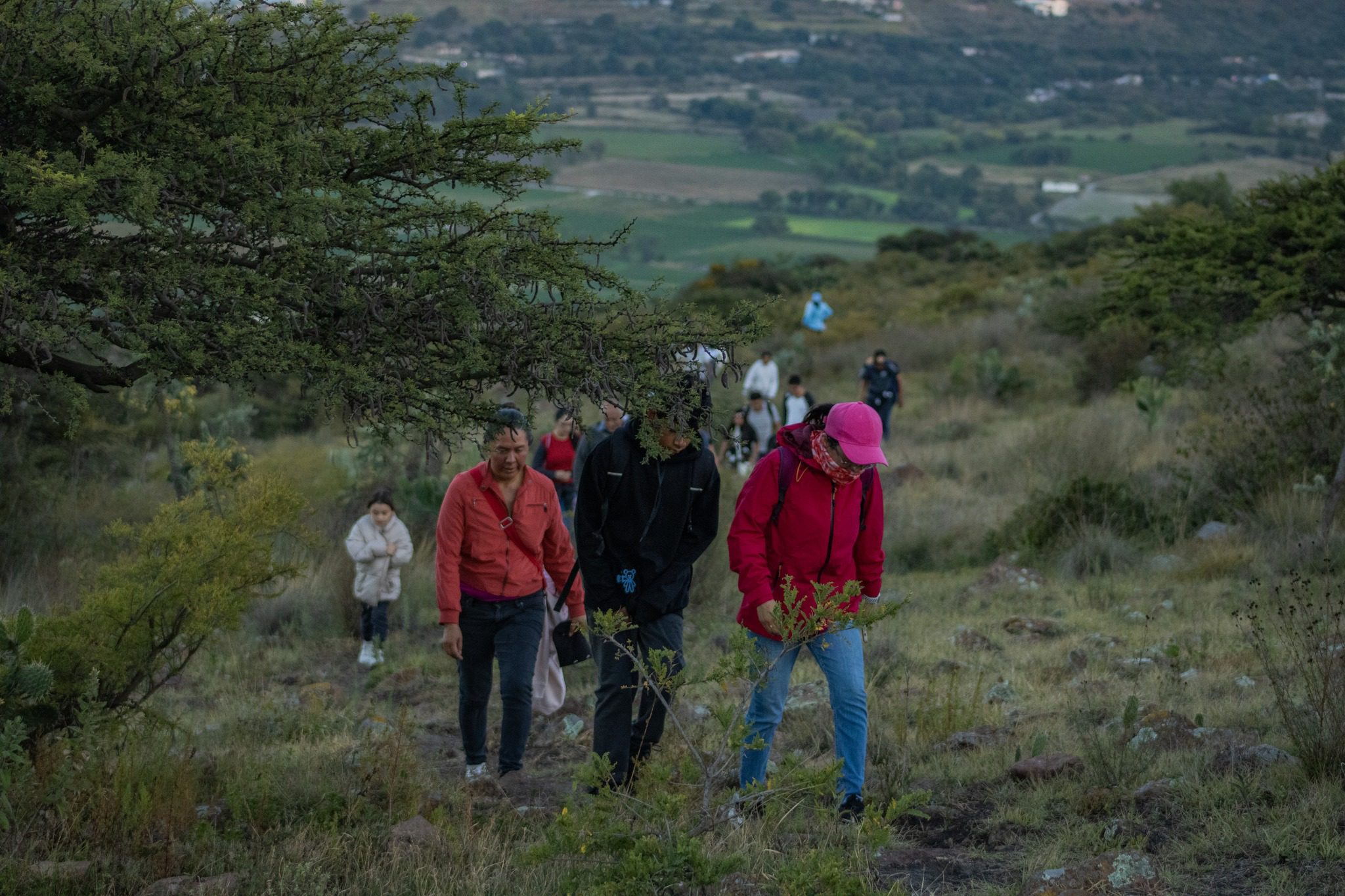 1699106540 707 Agradecemos a todas las personas que asistieron a la CaminataNocturna