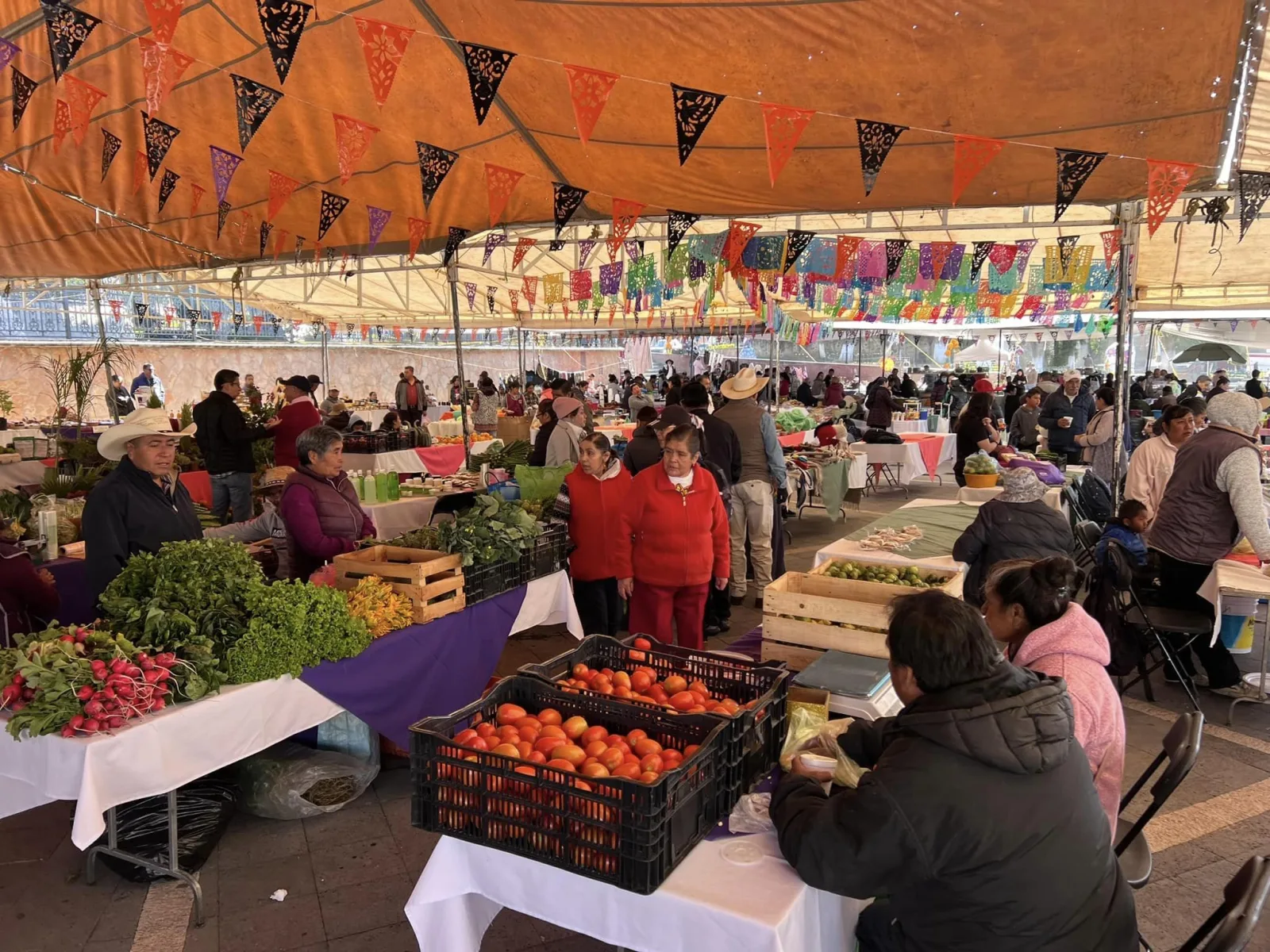 1699227158 Este domingo se realizo la Vendimia Gastronomica Artesanal y del scaled