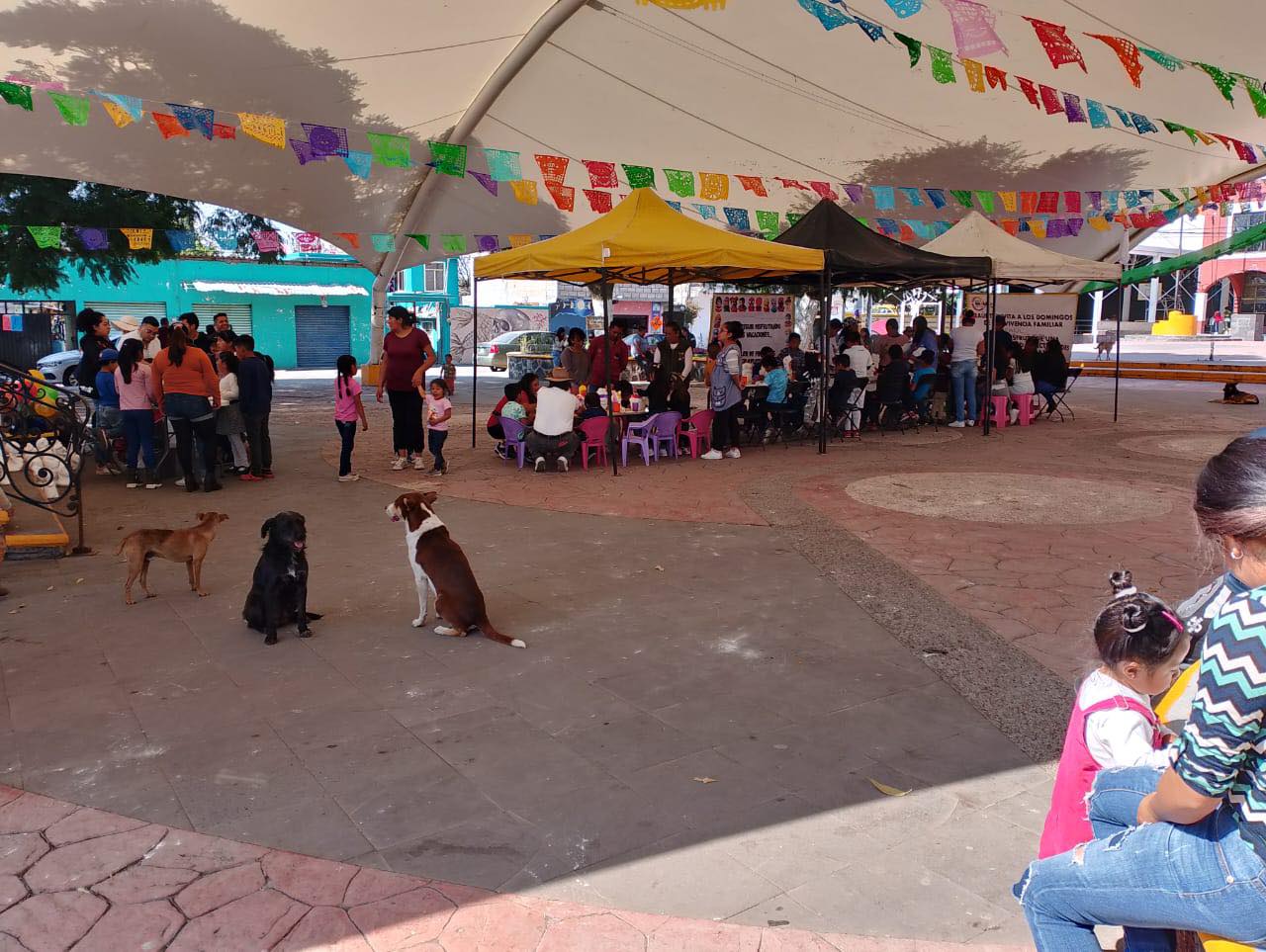 1699274890 335 SE REALIZO LA CONVIVENCIA EN EL DOMINGO FAMILIAR