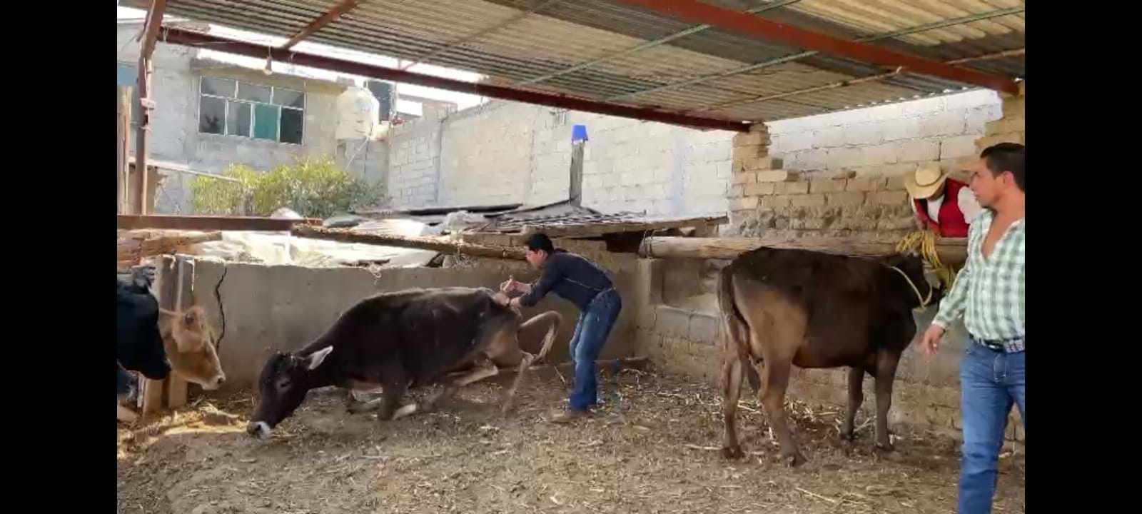 1699280329 836 El Ayuntamiento de Temascalcingo que encabeza el Dr Jose Luis