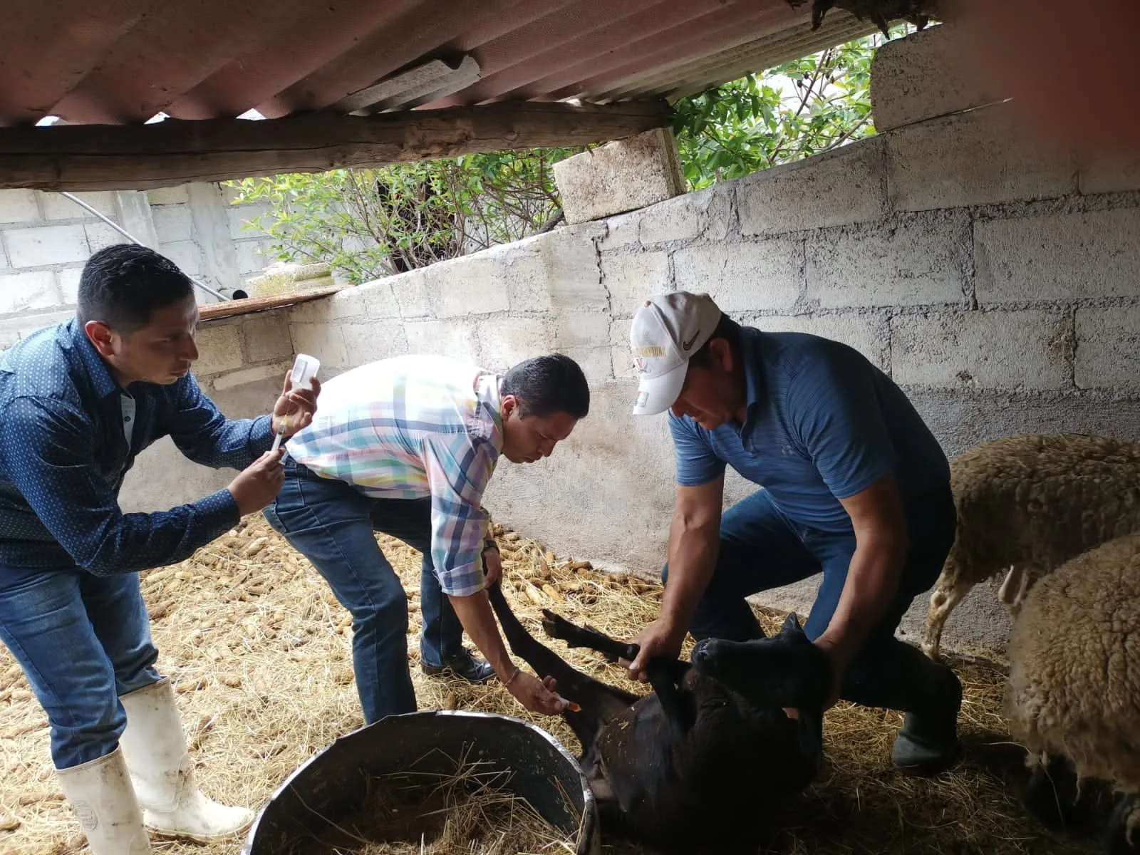 1699280358 El Ayuntamiento de Temascalcingo que encabeza el Dr Jose Luis jpg