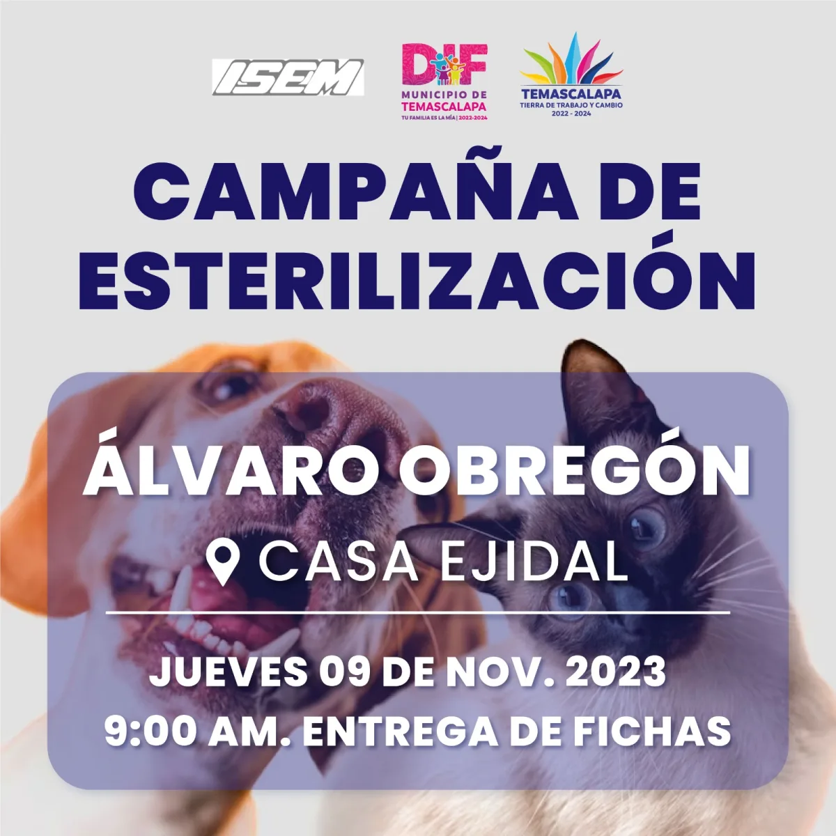 1699287675 En este dia es importante promover y fomentar la responsabilidad