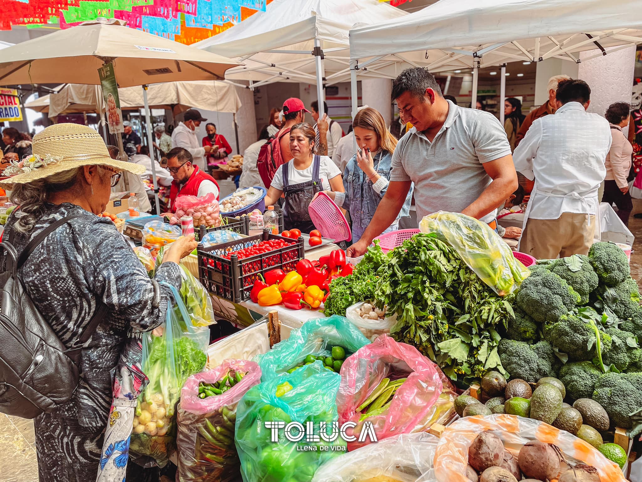 1699297329 655 ¡Ya te estamos esperando en el HuertoSustentable del DIF Toluca