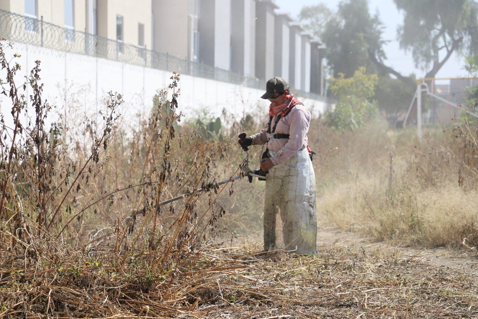 1699299534 907 Nuestros amigos de la cuadrilla de Parques y Jardines continuan