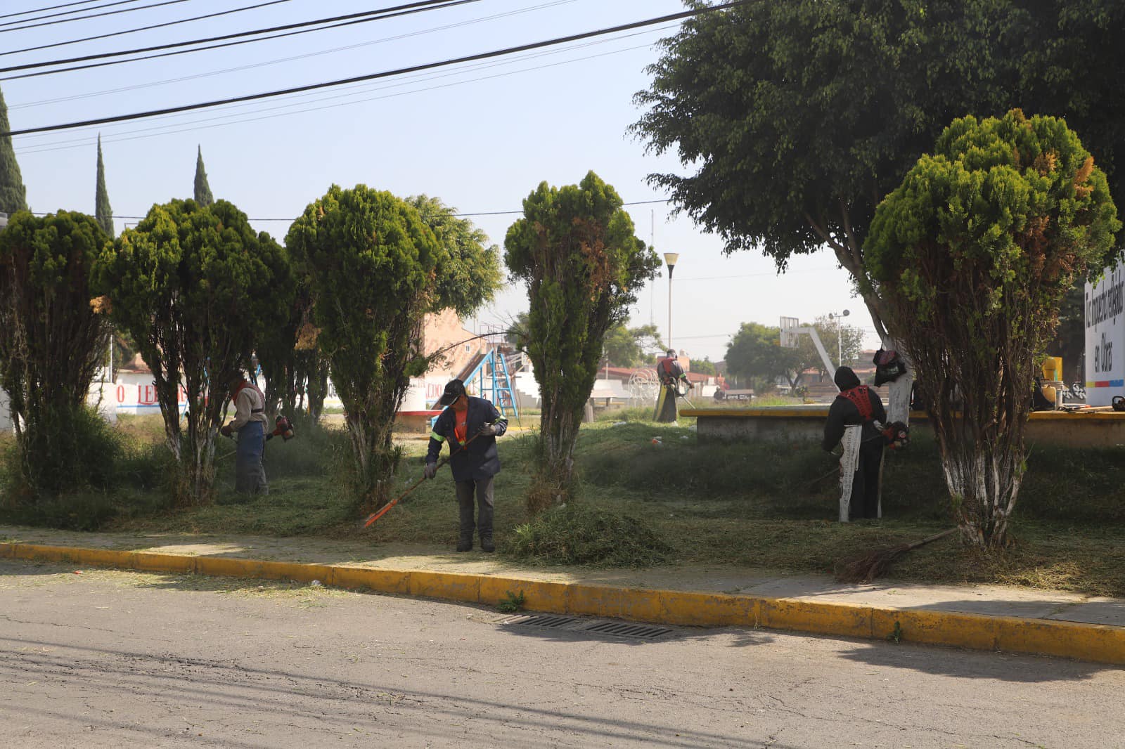 1699299564 Nuestros amigos de la cuadrilla de Parques y Jardines continuan