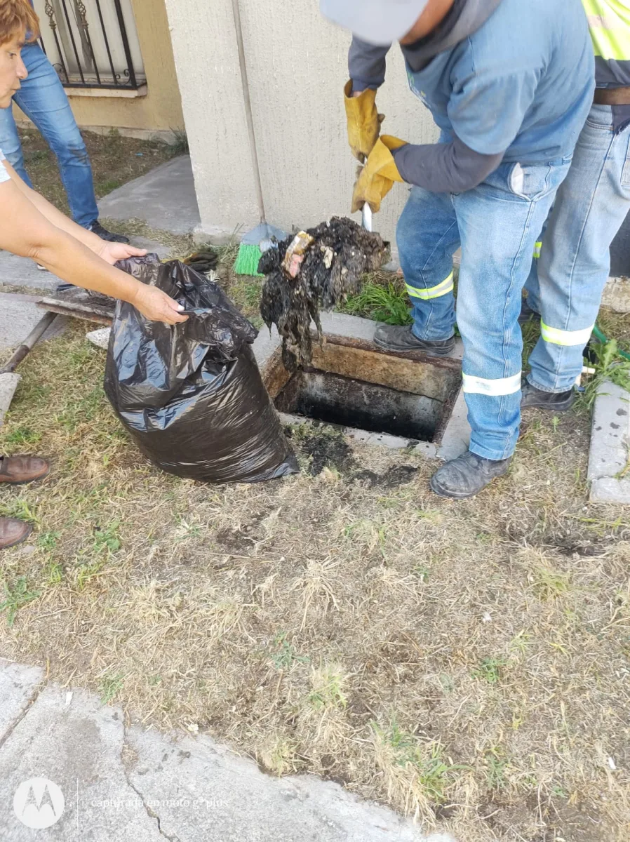 1699311441 356 El Organismo ODAPASA continua con las labores de limpieza de