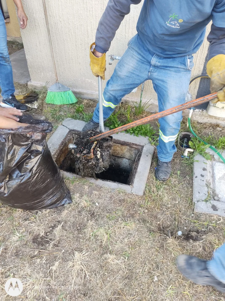 1699311448 414 El Organismo ODAPASA continua con las labores de limpieza de