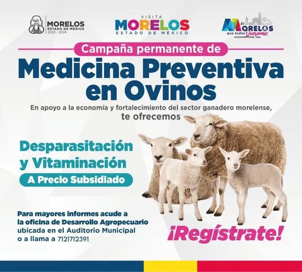 1699382342 Nuestra campana de Medicina Preventiva en ovinos sigue estando a jpg