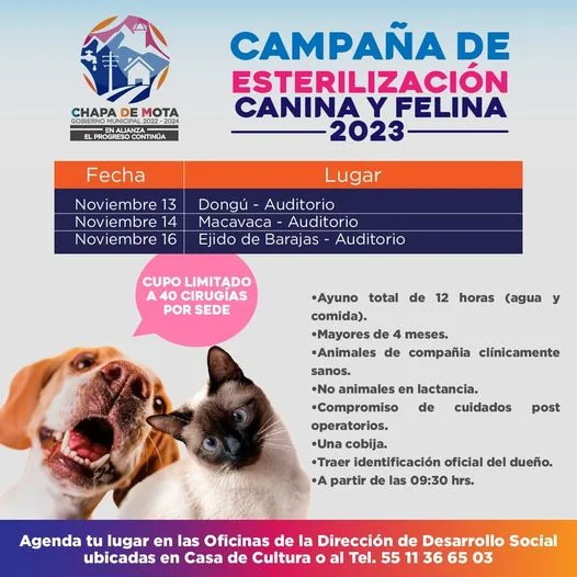 1699393337 Campana de esterilizacion acude al lugar mas cercano Registrate cupo jpg