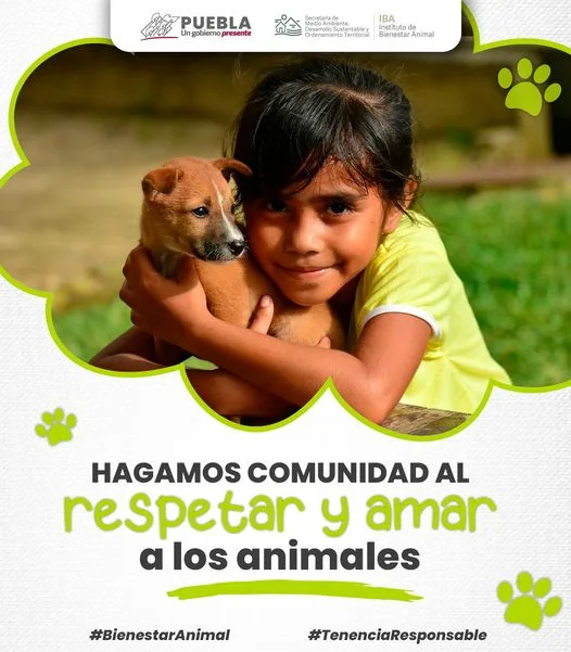 1699397532 El maltrato animal no tiene excusas Cada ser vivo merece jpg