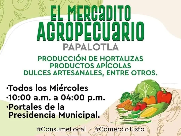 1699446578 consumelocal Visita el Mercadito Agropecuario Papalotla que manana reanuda jpg