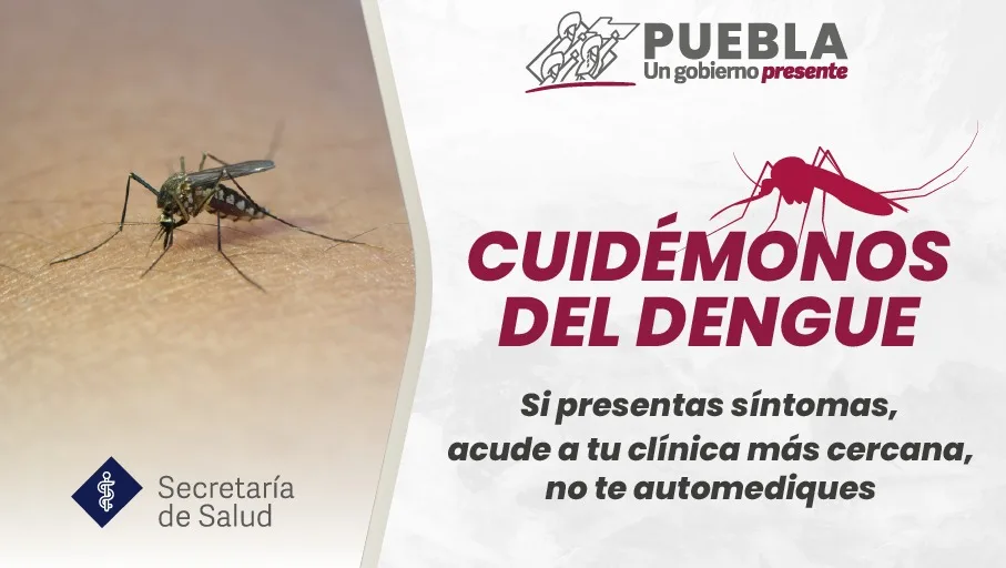 1699462217 Prevenganos el Dengue jpg