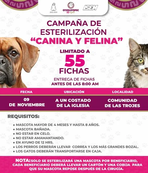 1699533038 Lleva a tu mascota y cuidala con una esterilizacion jpg