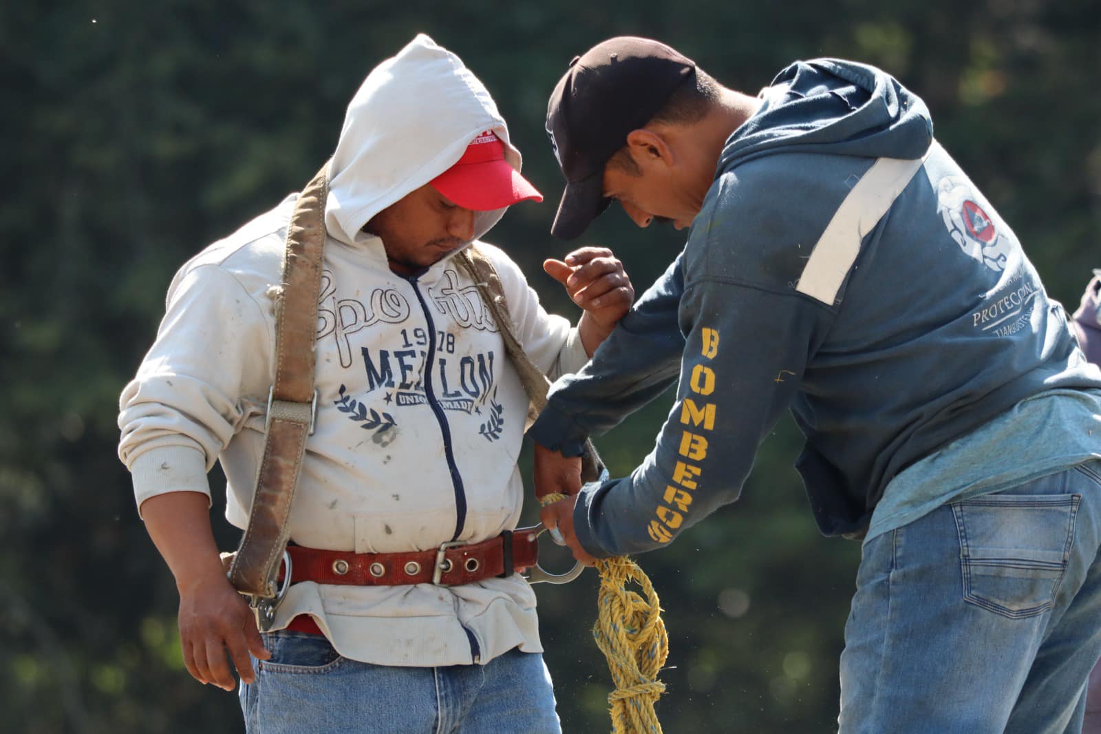 1699879862 435 Como Una Medida de ProteccionCivil